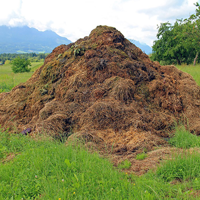 Compost orgánico agrícola